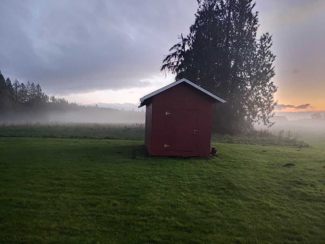 20211123_164132_hdr