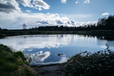 RootedNW-webres-1272-400x267