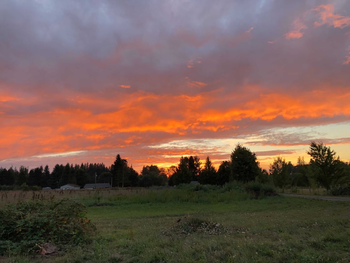 autumnsunset