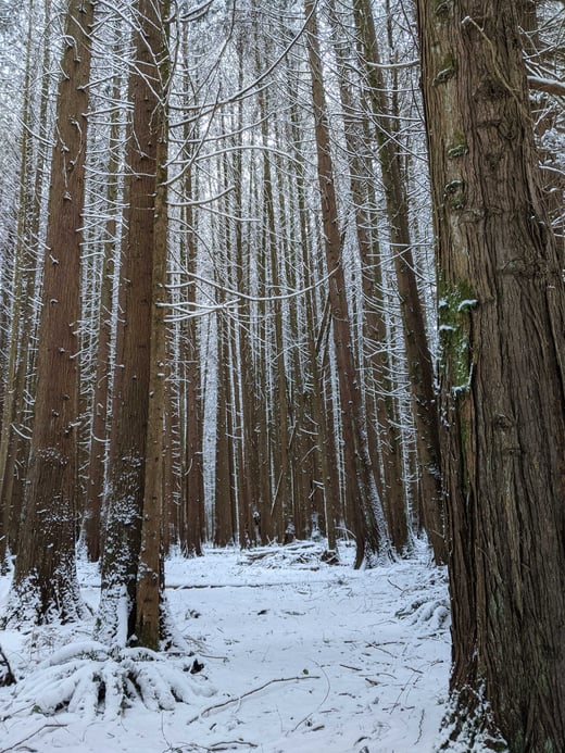 pxl_20211227_222755041