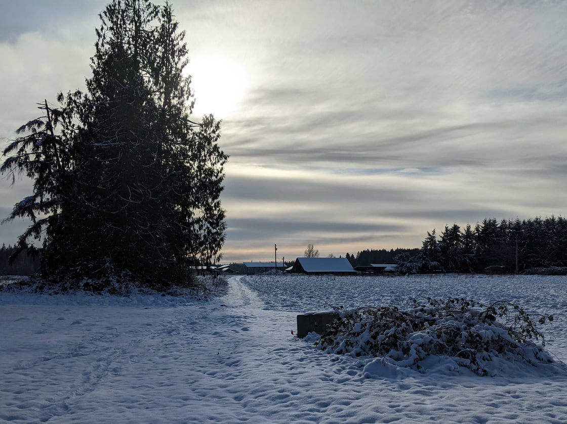pxl_20211228_210758686