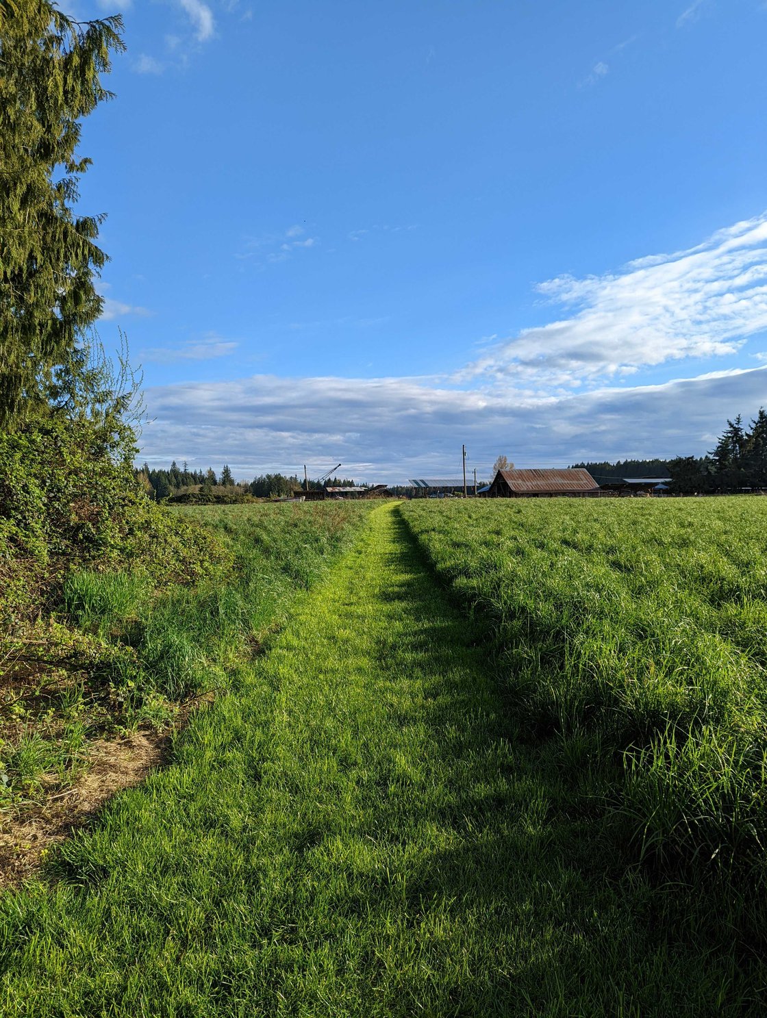 pxl_20220423_012217987